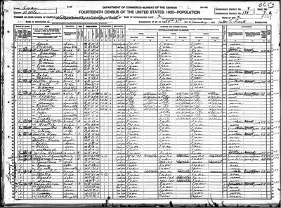 1920, Mattie Josey Carlisle Waller Co TX.jpg