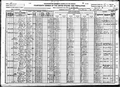 1920, Maude Jossey Pecot, DeKalb Co GA.jpg