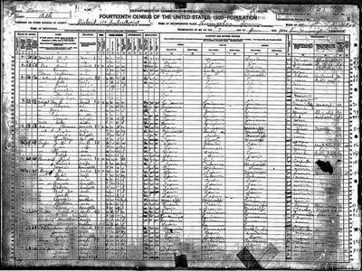 1920, Nancy Josey Feagin, Polk Co TX.jpg