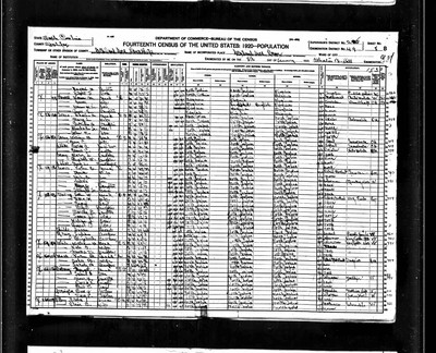 1920, Nannie Louise Josey Riddick Halifax Co NC.jpg