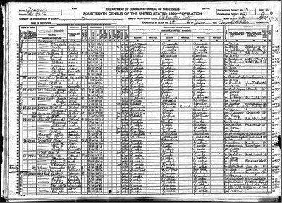 1920, William R Jossey, Dekalb Co GA.jpg