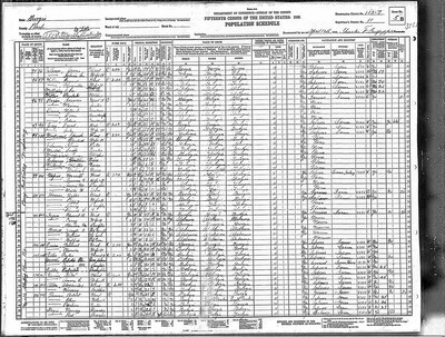 1930, David Josey, Peach Co GA, col.jpg