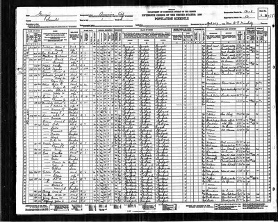 1930, Graves W Josey, Sumter Co GA, col.jpg