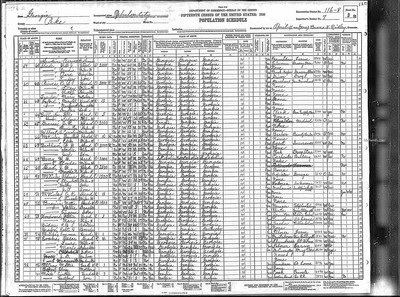 1930, J.D. Josey, Pike Co GA, col.jpg