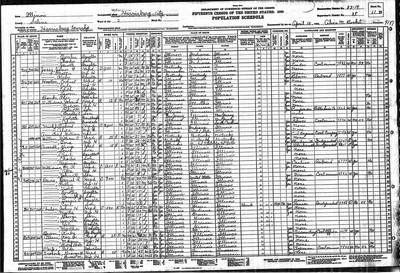 1930, James F Josey, Saline Co IL.jpg