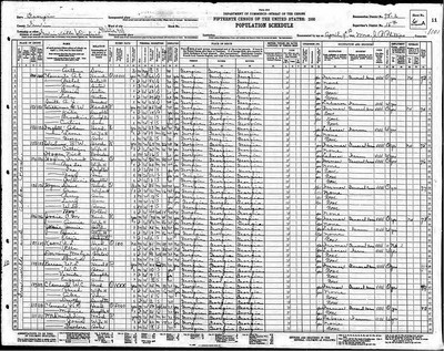 1930, James Monroe Josey Irwin Co GA.jpg