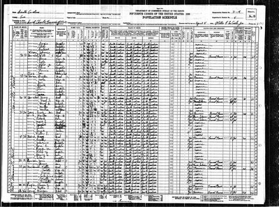 1930, Lemik Josey, Lee Co SC, col.jpg