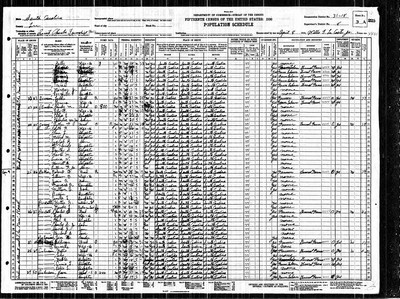 1930, Luther F Josey, Lee Co SC.jpg