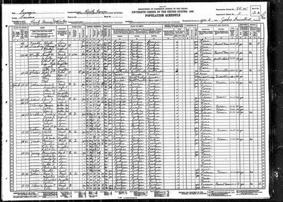 1930, Mary Ann Josey, Laurens Co GA.jpg