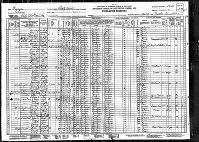 1930, Mary Jane Josey, Laurens Co GA.jpg