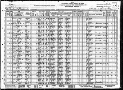 1930, Minnie Laurie Josey Holmes, Laurens Co GA.jpg