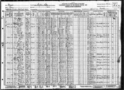 1930, Nancy E Josey Laurens Co GA.jpg