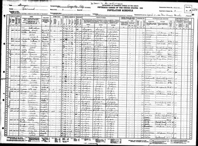 1930, Robbibstein Josey, Richmond Co GA, col.jpg