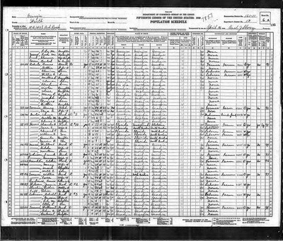 1930, Rosa M Josey, Worth Co GA, col.jpg