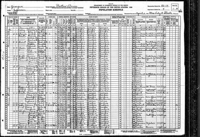 1930, William C Josey, Jefferson Co GA.jpg