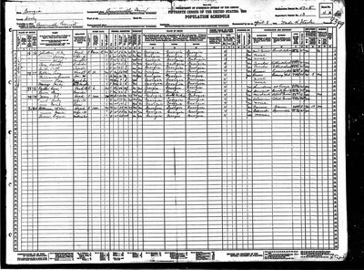 1930, William Carey Josey, Dooly Co GA.jpg