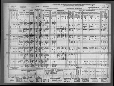 1940, David Simon Josey, Decatur Co, GA.jpg