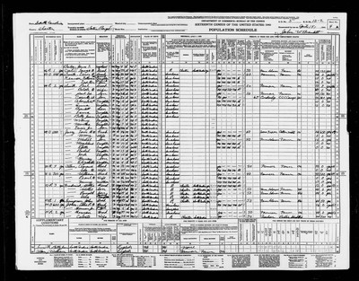 1940, Lewis Hoyt Josey, Chester Co, SC.jpg
