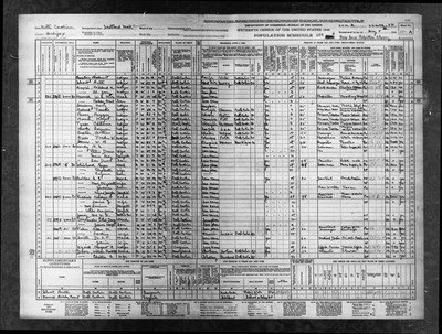 1940, Nannie Louise Josey Reddick, Halifax Co, NC.jpg