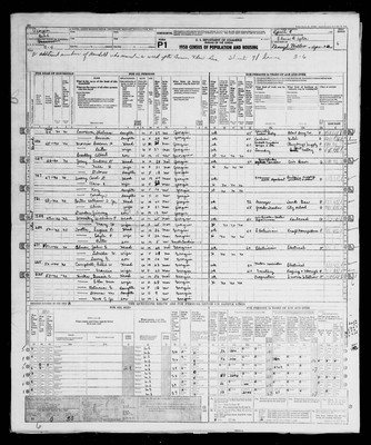 1950, Josey, Andrew Durham Jr & Nellie Frances Hardison, Bibb Co, GA.jpg