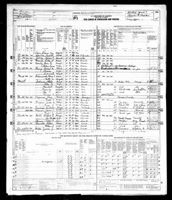 1950, Josey, Annie E, Waller Co, TX.jpg