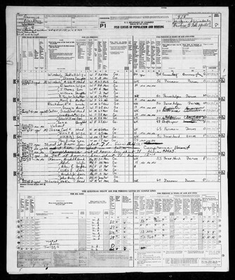 1950, Josey, Carl Evans & Willie Pearl Bailey, Bleckley Co, GA.jpg