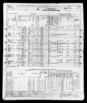 1950, Josey, William Irvin & Lillie, Covington Co, AL.jpg