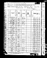 1880, Hampton Josey, Marion Co SC, col.jpg