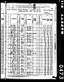 1880, Saloma Josey, Rowan Co NC.jpg