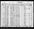 1930, Rosa M Josey, Worth Co GA, col.jpg
