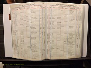 Lake Co, FL Marriage Index C-D, 1889-1986 (112).JPG