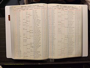 Lake Co, FL Marriage Index C-D, 1889-1986 (191).JPG