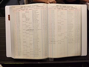 Lake Co, FL Marriage Index C-D, 1889-1986 (202).JPG