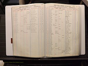 Lake Co, FL Marriage Index N-O-P-Q-R, 1889-1986 (116).JPG