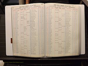 Lake Co, FL Marriage Index N-O-P-Q-R, 1889-1986 (118).JPG