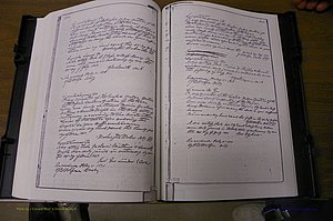 Laurens Co, GA, Marriages 1852 - 1870, P 310-311.JPG