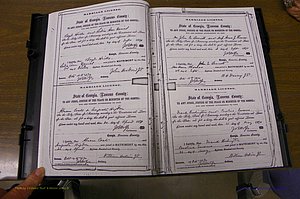 Laurens Co, GA, Marriages 1870 - 1879, P 002-003.JPG