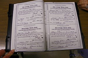 Laurens Co, GA, Marriages 1870 - 1879, P 012-013.JPG