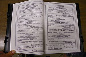 Laurens Co, GA, Marriages Book K, 1886 - 1896, P 008-009.JPG