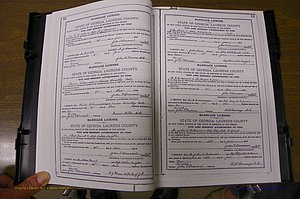 Laurens Co, GA, Marriages Book K, 1886 - 1896, P 012-013.JPG