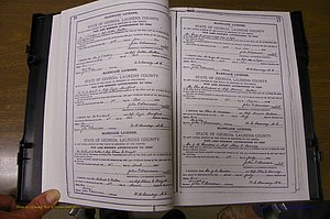 Laurens Co, GA, Marriages Book K, 1886 - 1896, P 016-017.JPG