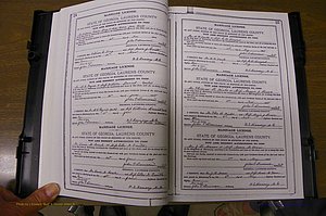 Laurens Co, GA, Marriages Book K, 1886 - 1896, P 024-025.JPG