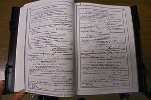 Laurens Co, GA, Marriages Book K, 1886 - 1896, P 066-067.JPG