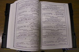 Laurens Co, GA, Marriages Book K, 1886 - 1896, P 088-089.JPG