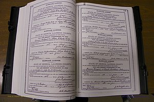 Laurens Co, GA, Marriages Book K, 1886 - 1896, P 120-121.JPG