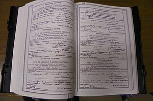 Laurens Co, GA, Marriages Book K, 1886 - 1896, P 128-129.JPG