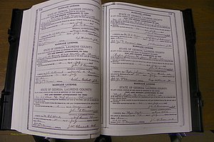 Laurens Co, GA, Marriages Book K, 1886 - 1896, P 140-141.JPG