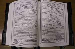 Laurens Co, GA, Marriages Book K, 1886 - 1896, P 230-231.JPG