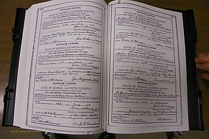 Laurens Co, GA, Marriages Book K, 1886 - 1896, P 246-247.JPG