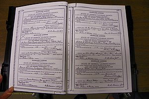 Laurens Co, GA, Marriages Book K, 1886 - 1896, P 276-277.JPG